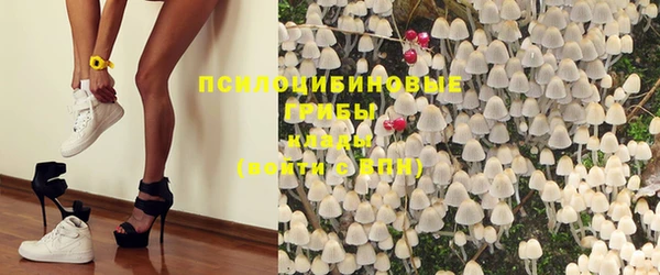 дурь Алзамай