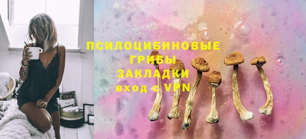 дурь Алзамай