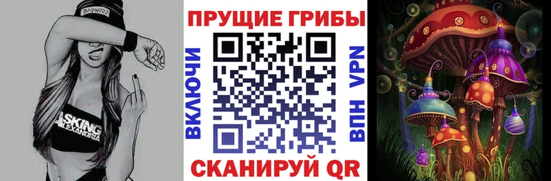 MEGA Боровичи Псилоцибиновые грибы мицелий закладки