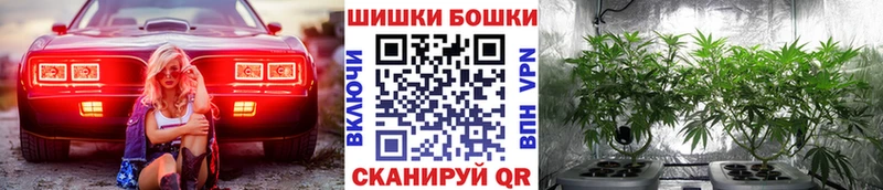 МЕГА tor  Боровичи  Бошки марихуана гибрид 